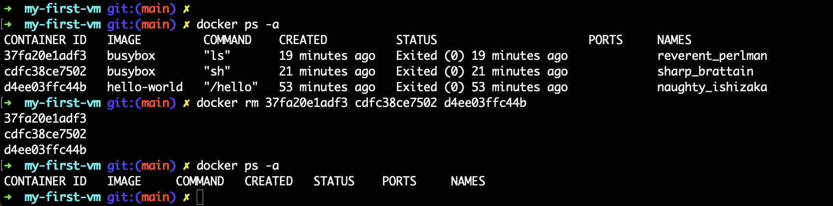 Docker Remove Example